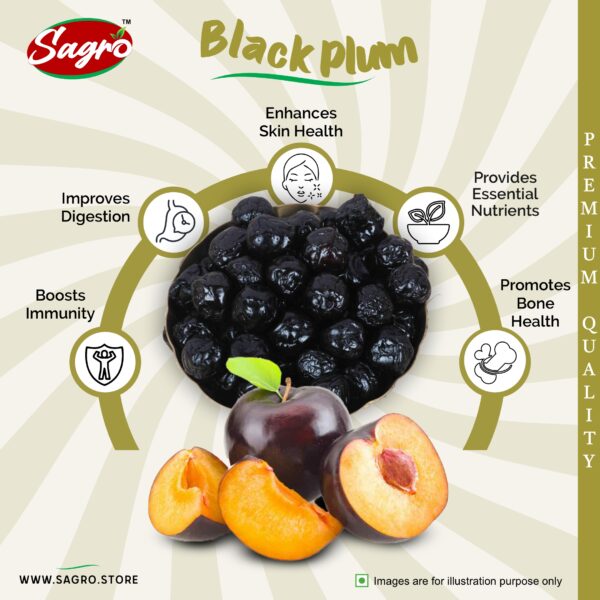 Black Plum - Image 3